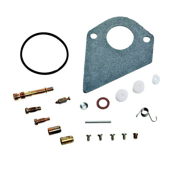 Briggs & Stratton OEM 498116 Kit-Carb Overhaul