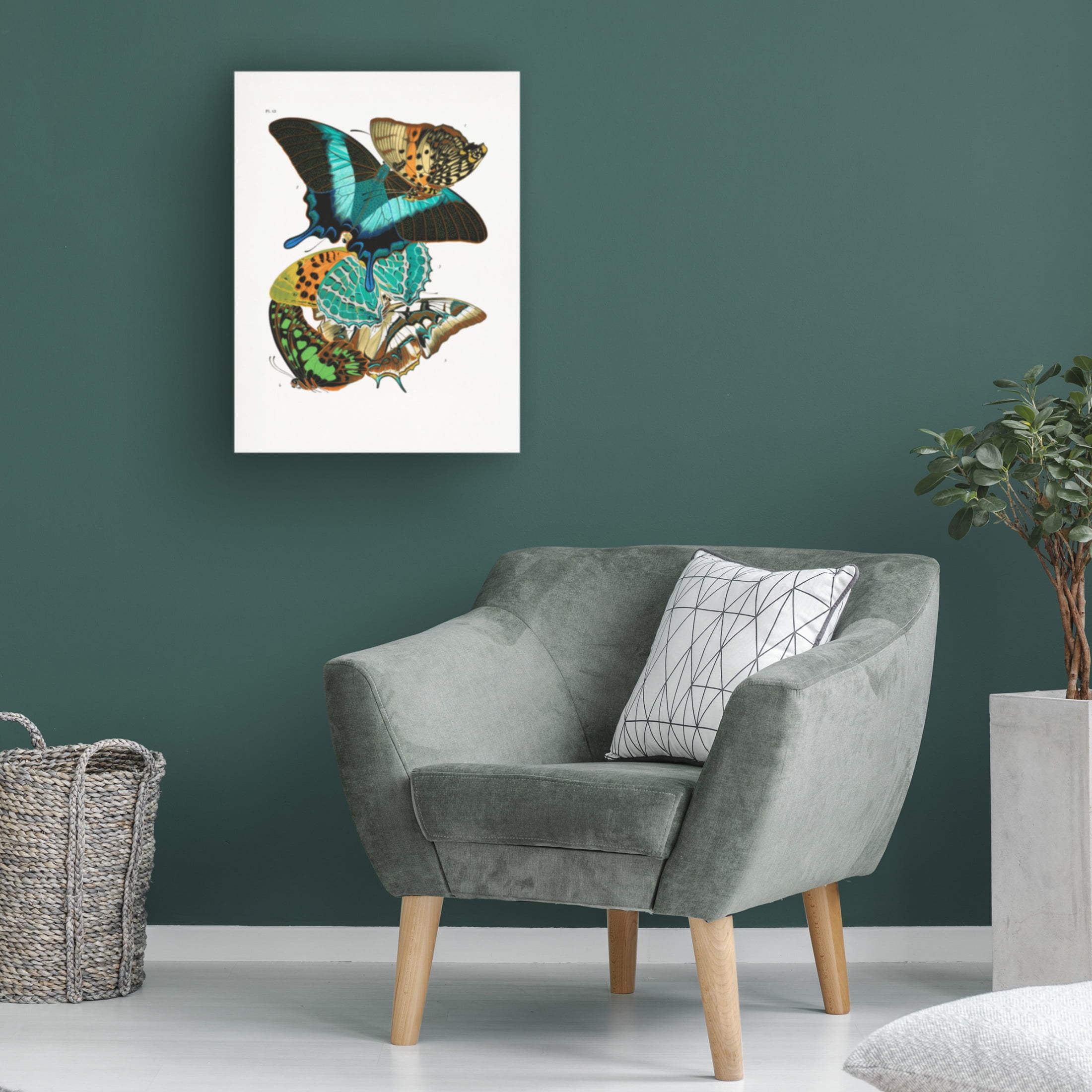 Trademark Fine Art Pictufy   Butterflies 5 Canvas Wall Art