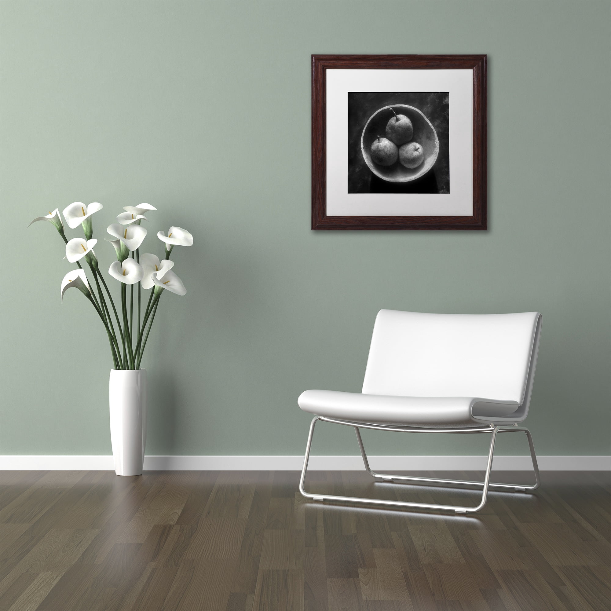 Trademark Fine Art "Circulo de Peras" Canvas Art by Moises Levy White Matte, Wood Frame