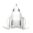 thumbnail image 1 of LUNKERHUNT LP LH LUNKER FROG 2.25 1/2OZ PEARL LF05, 1 of 1