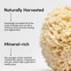 thumbnail image 2 of Natural Sea Wool Bath Sponge Sea Sponge For Body Care Sea Sponge For Facial Cleansing & Body Washing-rx, 2 of 5