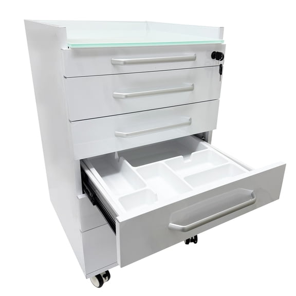 5 Drawers Wide Handle Dental Storage Cabinet Mobile Cart Stainless Steel Moving Side Cabinet