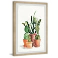thumbnail image 2 of Parvez Taj Cactus Variety Framed Wall Art, 2 of 6