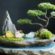 thumbnail image 5 of 6 figuras de focas de resina en miniatura para microadornos paisajísticos. Bonitas focas marinas en miniatura para accesorios de jardín y decoración del hogar. Jardín de hadas., 5 of 7