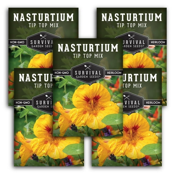 Tip Top Mix Nasturtium Seed - Non-GMO Heirloom Full Sun Annual Flower - 5 Packs
