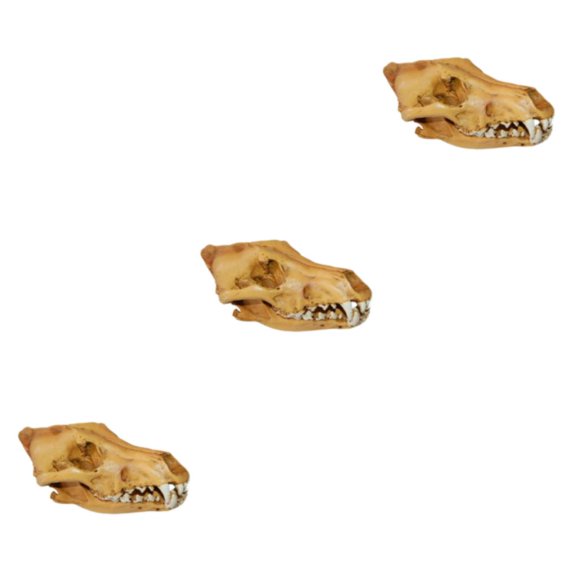 Advancent Réplica de resina de calavera realista falsa cabeza de enseñanza modelo de esqueleto acuario 3 Type1 NO1