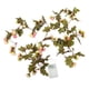 thumbnail image 1 of Cadena de luz decorativa de flores Jadeshay Cadena de luces de flores 20 luces LED, 1 of 8