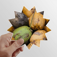 thumbnail image 1 of Fresh Papaya Picture Nature Photograph Sun Vinyl Sticker Luggage Graffiti Flower Decal, 1 of 3