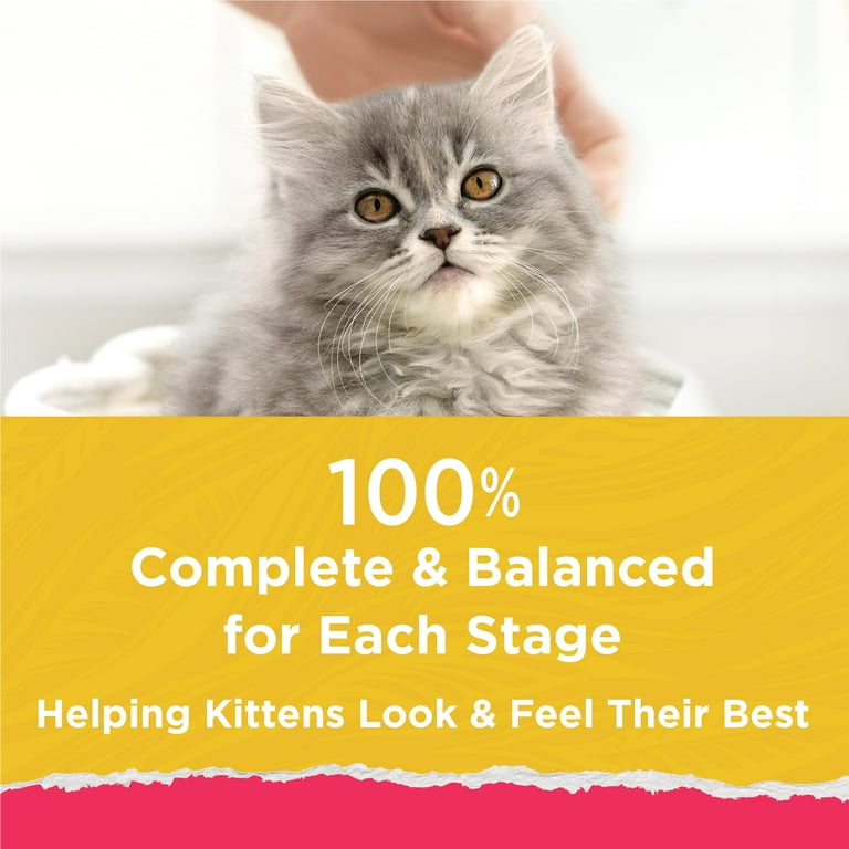 Walmart purina top kitten chow