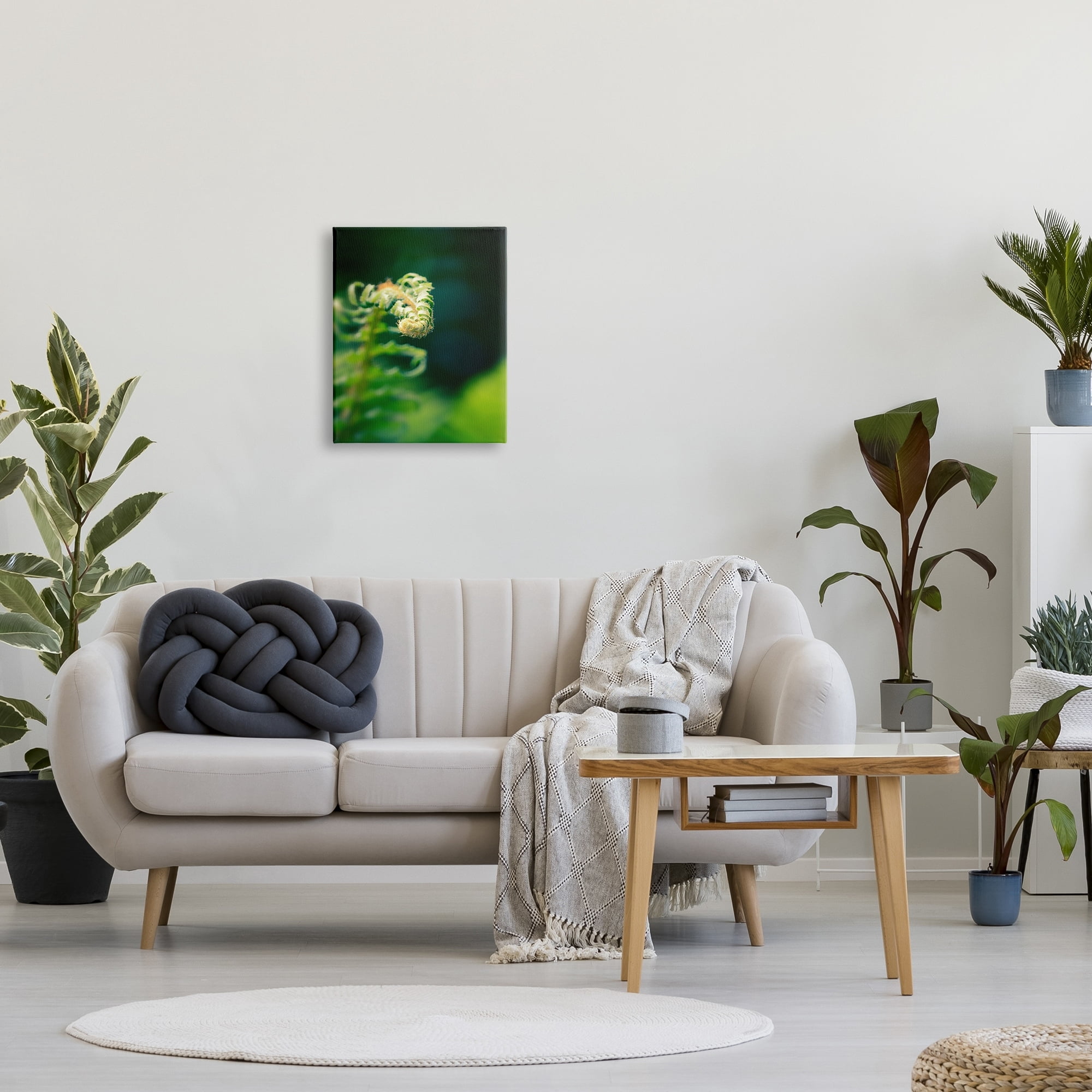 Stupell Fern Leaves Nature Photography Botanical & Floral Photography Gallery Wrapped Canvas Print Wall Art