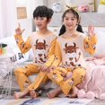 thumbnail image 1 of Disney Frozen Elsa Conjunto de pijamas para niños Ropa de dormir Pijamas para niños de primavera y otoño Ropa de casa de dibujos animados de manga larga Traje Thin8 altura 100-110cm Gao Jinjia LED, 1 of 2