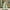 Green, variant on Levmjia Jumpsuits for Women Ethnic Style Solid Buttons Pocket Loose Suspender Jumpsuit