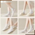 thumbnail image 5 of NANAhuang White Socks for Women Crew Soft Cotton Thin Casual Calf Socks 6 Pairs, 5 of 6