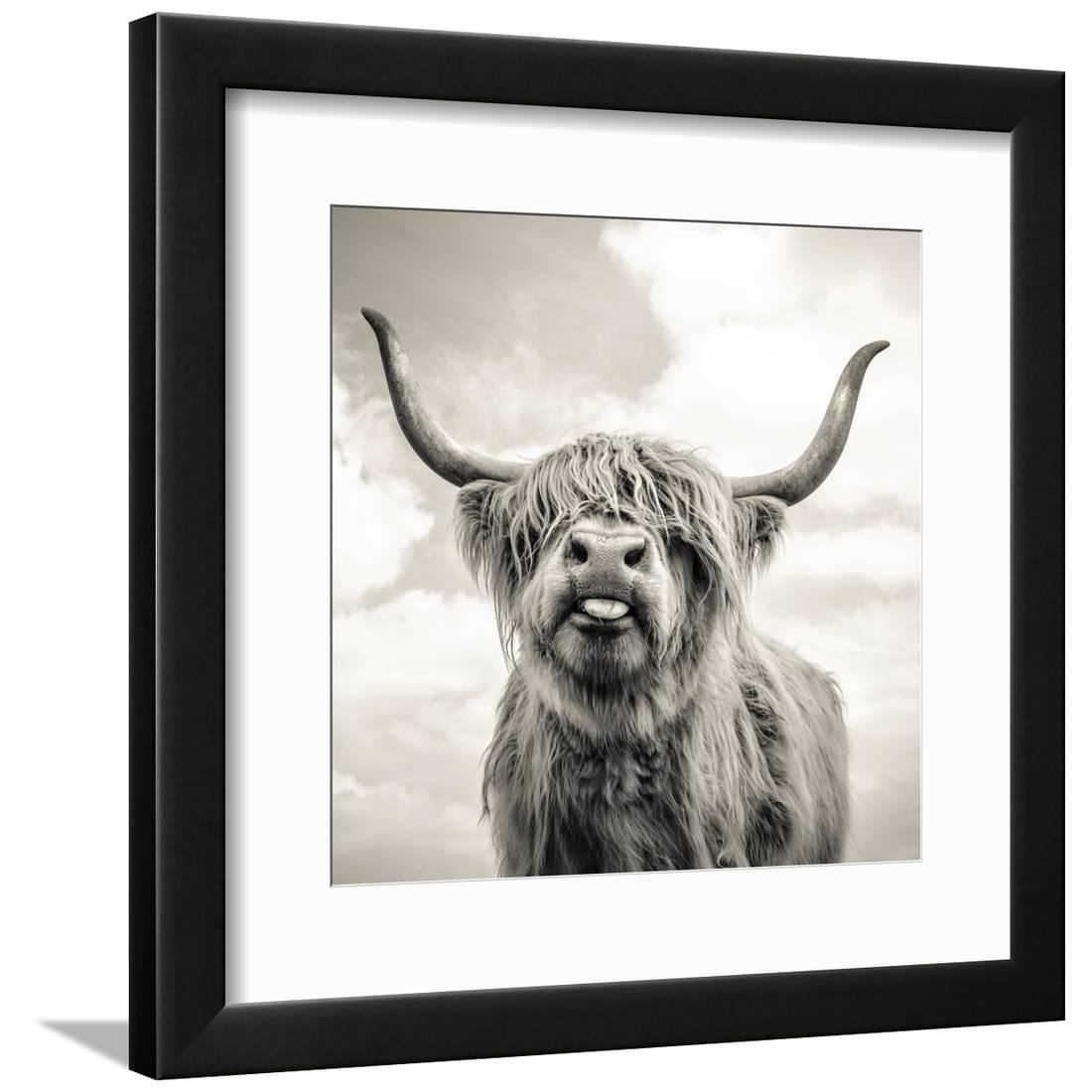 Close up portrait of Scottish Highland cattle on a farm, Animals Framed Art Print Wall Art by