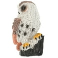thumbnail image 5 of Set of 2 Resin Owl Figurines for Sand Table Decor, Realistic Owl Statues, Decorative Owl Ornaments for Home and Garden, 5 of 8