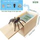 thumbnail image 2 of Caja sorpresa de araña de 2 piezas, caja de araña, caja de broma de araña, caja de araña, caja de araña falsa, juguete de broma de araña, para Halloween, Día de los inocentes, niños y adultos, 2 of 5