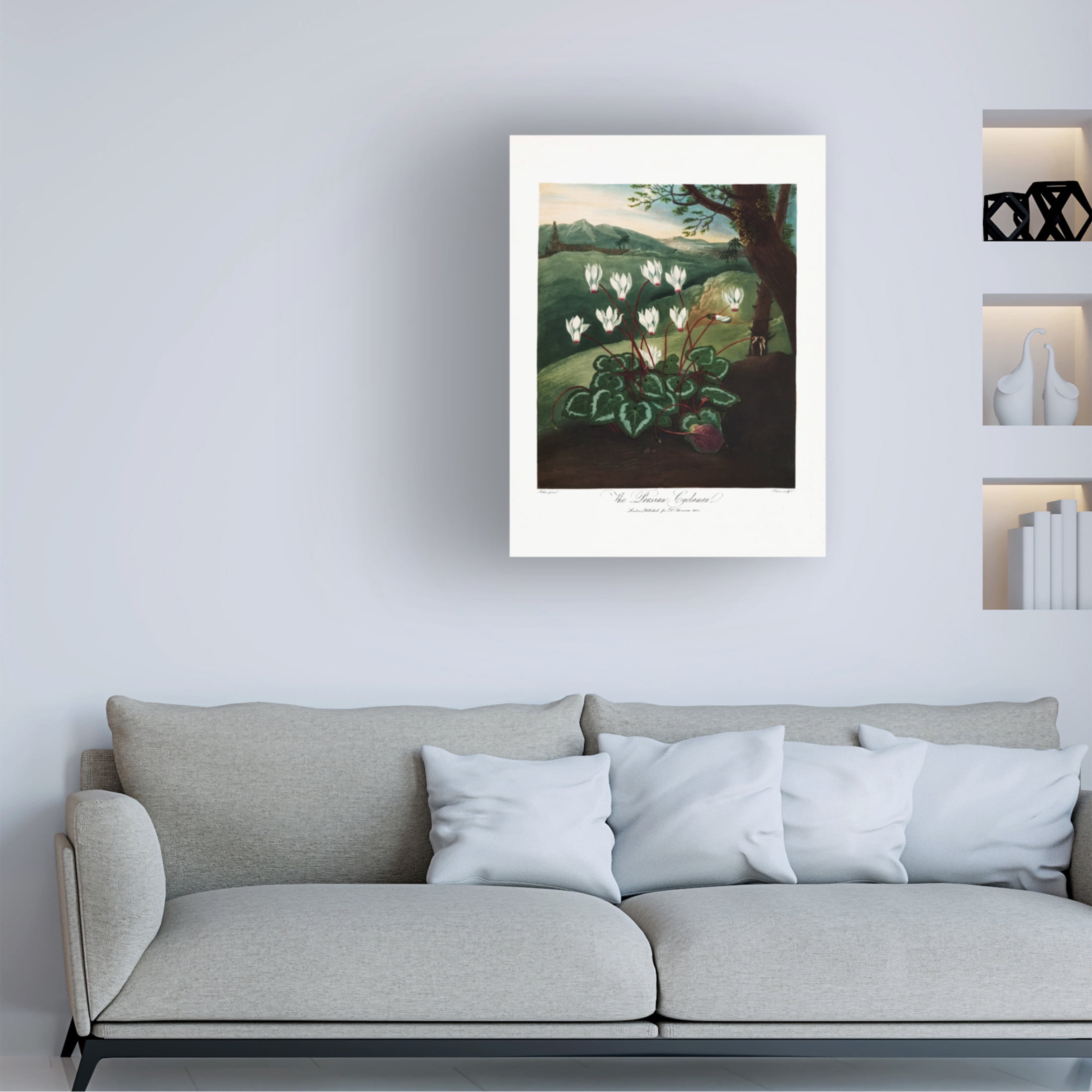 Trademark Fine Art Pictufy  The Persian Cyclamen from The Temple of Flora 1807 Canvas Wall Art