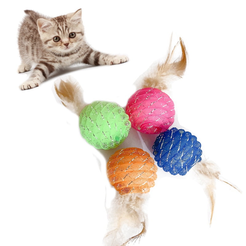 cat exercise ball