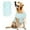 Green-S, variant on Pet Cooling Vest UPF 50+ Sun Protection Dog Tank Top Tie-Dye Breathable Sleeveless Pet Shirt for Small/Medium Dogs & Cats, Summer Outdoor Activities & Daily Wear Use