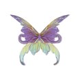 thumbnail image 1 of Crystal Candy Small Pixie Silk Edible Butterfly Wings - Pack of 15, 1 of 2
