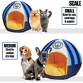 thumbnail image 7 of Manchester City - Sport Ball Pet Bed - Small, 7 of 7