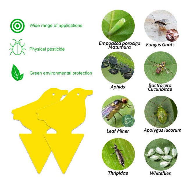 10 Uds. De trampas para moscas a prueba de agua, tablero adhesivo para insectos, pegatina para matar insectos (pájaro)