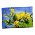 thumbnail image 2 of Gango Home Decor Yellow Elder Flower by Alan Hausenflock (Ready to Hang); One 36x24in Hand-Stretched Canvas, 2 of 4