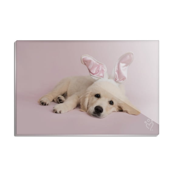 Golden Retriever Puppy Dog Rabbit Bunny Ears Rectangle Acrylic Fridge Refrigerator Magnet