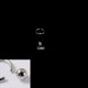 thumbnail image 1 of Anillo de nariz con clip de bola de acero inoxidable 316L BCR, anillo de nariz con clip de bola de acero de titanio, anillo multiusos universal, pendientes, anillo para el hueso de la oreja, 1 of 6