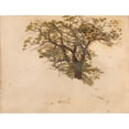thumbnail image 2 of Adolph Tidemand 18x15 Black Ornate Wood Framed Double Matted Museum Art Print Titled - Study of an Oak (1830), 2 of 5
