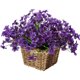 thumbnail image 3 of Flores Artificiales Ramo Falso Decoración Del Hogar Plantas De Simulación De Plástico Flores Para Patio Trasero Jardín Balcón 2 Uds sonducket HA044091-05, 3 of 6