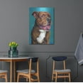 thumbnail image 4 of Luxe Metal Art 'Staffordshire Bull Terrier' by Rebecca Wang Art, Metal Wall Art, 24"x36", 4 of 9