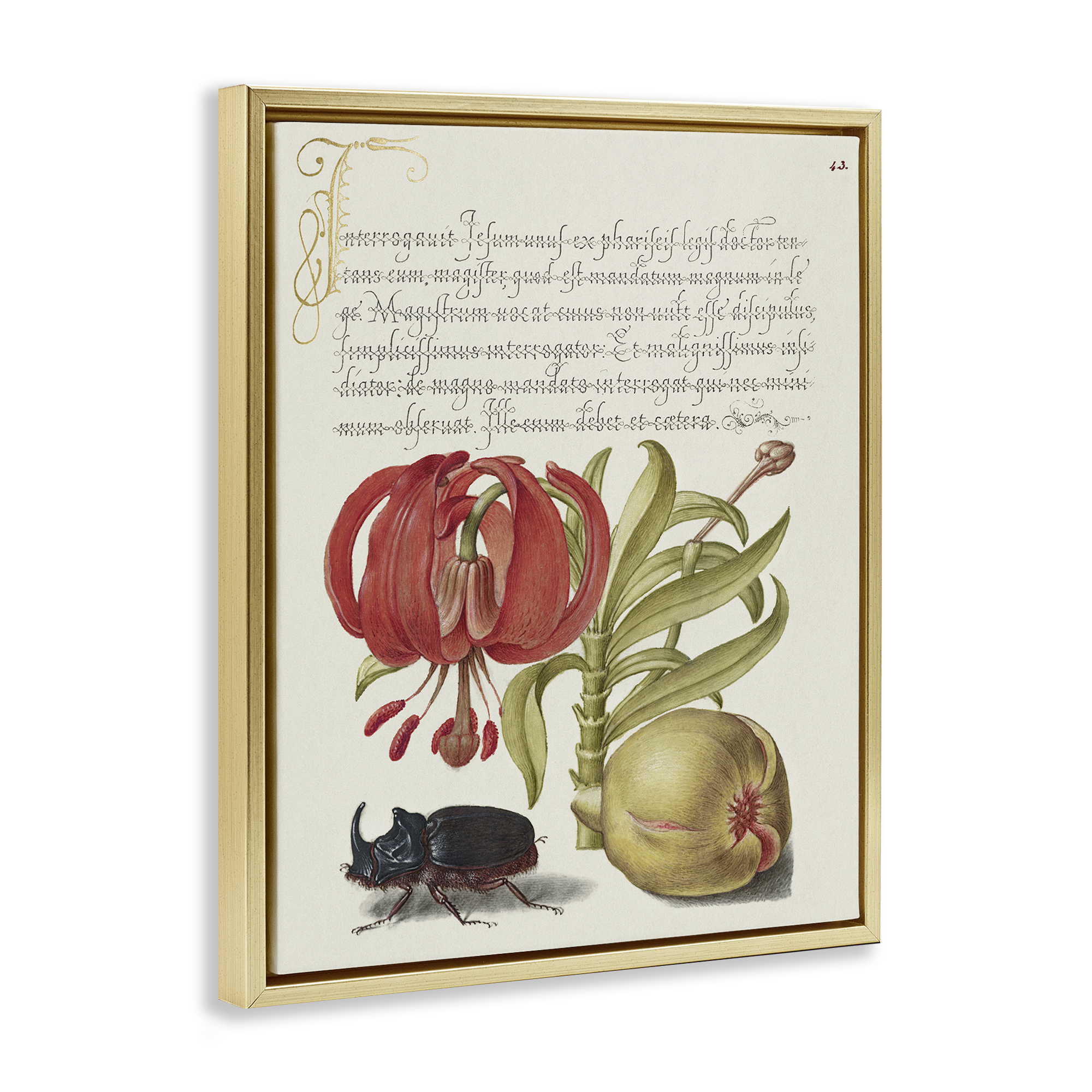 Stupell Industries Vintage Flora & Fauna Text & Numbers Painting Gold Floater Framed Canvas Art Print Wall Art, 17 x 21