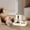 Gray, variant on Qholemyo 3.8L Smart Timed Automatic Cat Feeder Programable Dry Food Dispenser Auto Cat Water Bowl Dog Waterer Pet Food Container