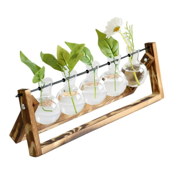Careslong Plant Terrarium with Wooden Stand Planter Terrarium with