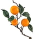 thumbnail image 4 of Árbol de Cítricos de Limón Artificial árbol de Cítricos de Limones Artificiales para Interiores para la Mesa de la Sala de Estar de la Oficina en el Hogar ANGGREK Otros, 4 of 8