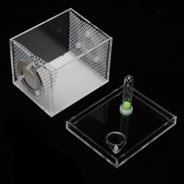 Feeding Box,Reptile Insect Enclosure Tank Jumping Spider Enclosure Reptile Insect Breeding Box Class Leading Features