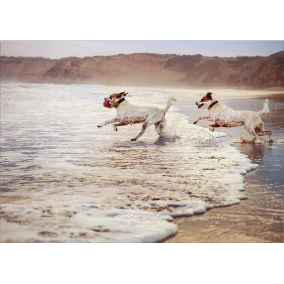 Avanti Press Two Dogs Running In Surf Romantic Card
