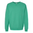 thumbnail image 1 of Hanes Chandail en Molleton Teint en Pièce ComfortWash pour Hommes Grande Taille, TG, Vert Gazon Riche, 1 of 2