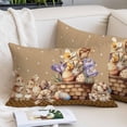 thumbnail image 2 of Easter Bunny Pillow Covers King, Brown Eggs Flowers Rabbits Vintage Dots Plaid Soft Brushed Microfiber Breathable Throw Pillow Covers, Decorative Pillowcase with Zipper for Couch Sofa Bedroom 20"x36", 2 of 9