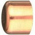 thumbnail image 2 of Elkhart Products Tube Cap Sweat Copper End Cap - 2 In Wrot Copper, 2 of 2