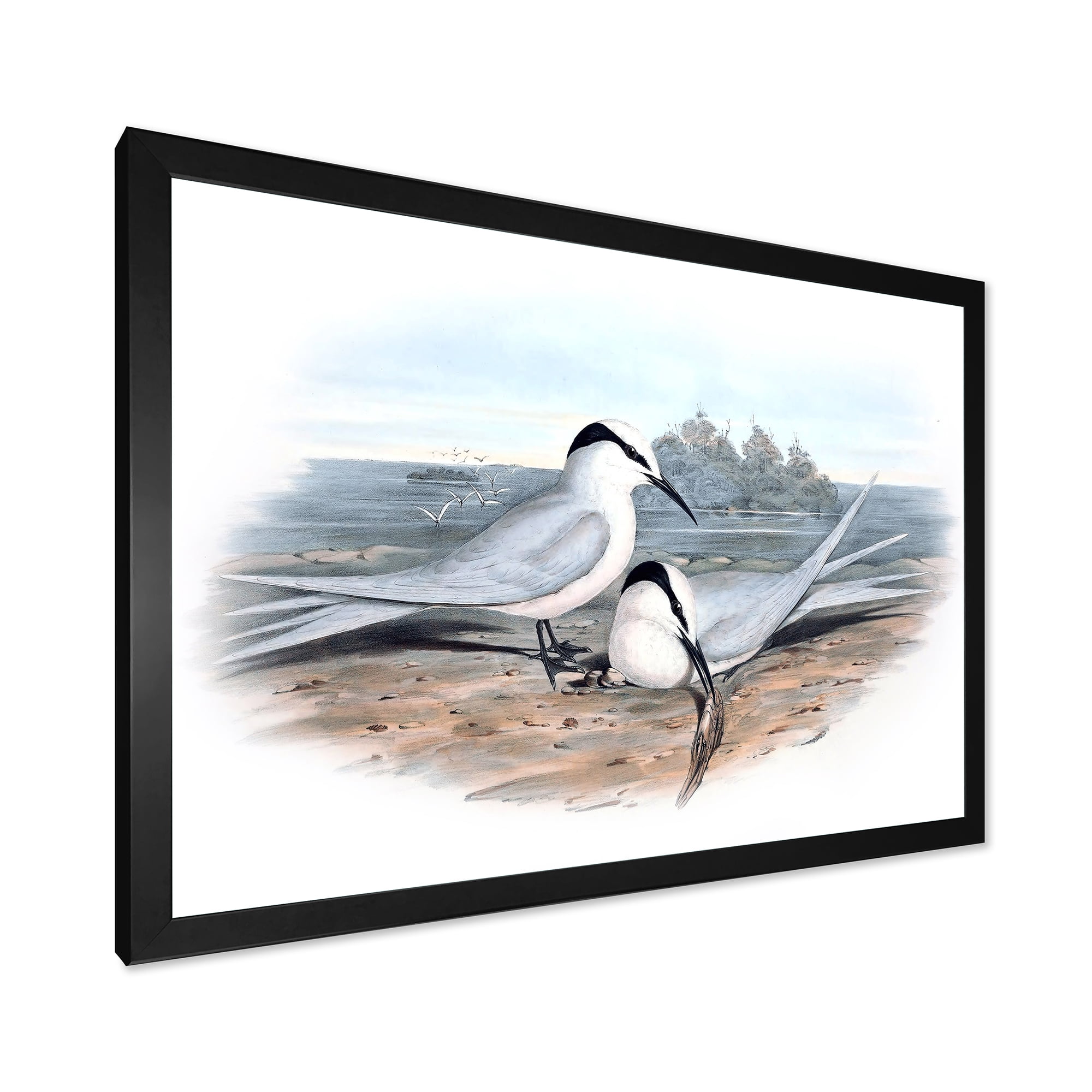 Designart 'Ancient Birds In The Wild IX' Traditional Framed Art Print