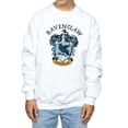 thumbnail image 4 of Harry Potter Boys Ravenclaw Sweatshirt, 4 of 6