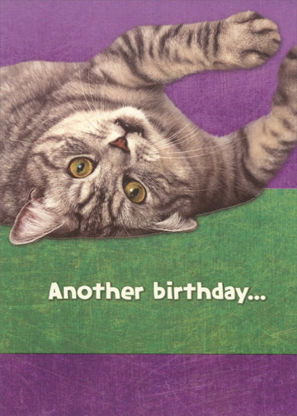 Humorous Cat Birthday Card RSVP Cat's Recipe For a Great Birthday Funny 