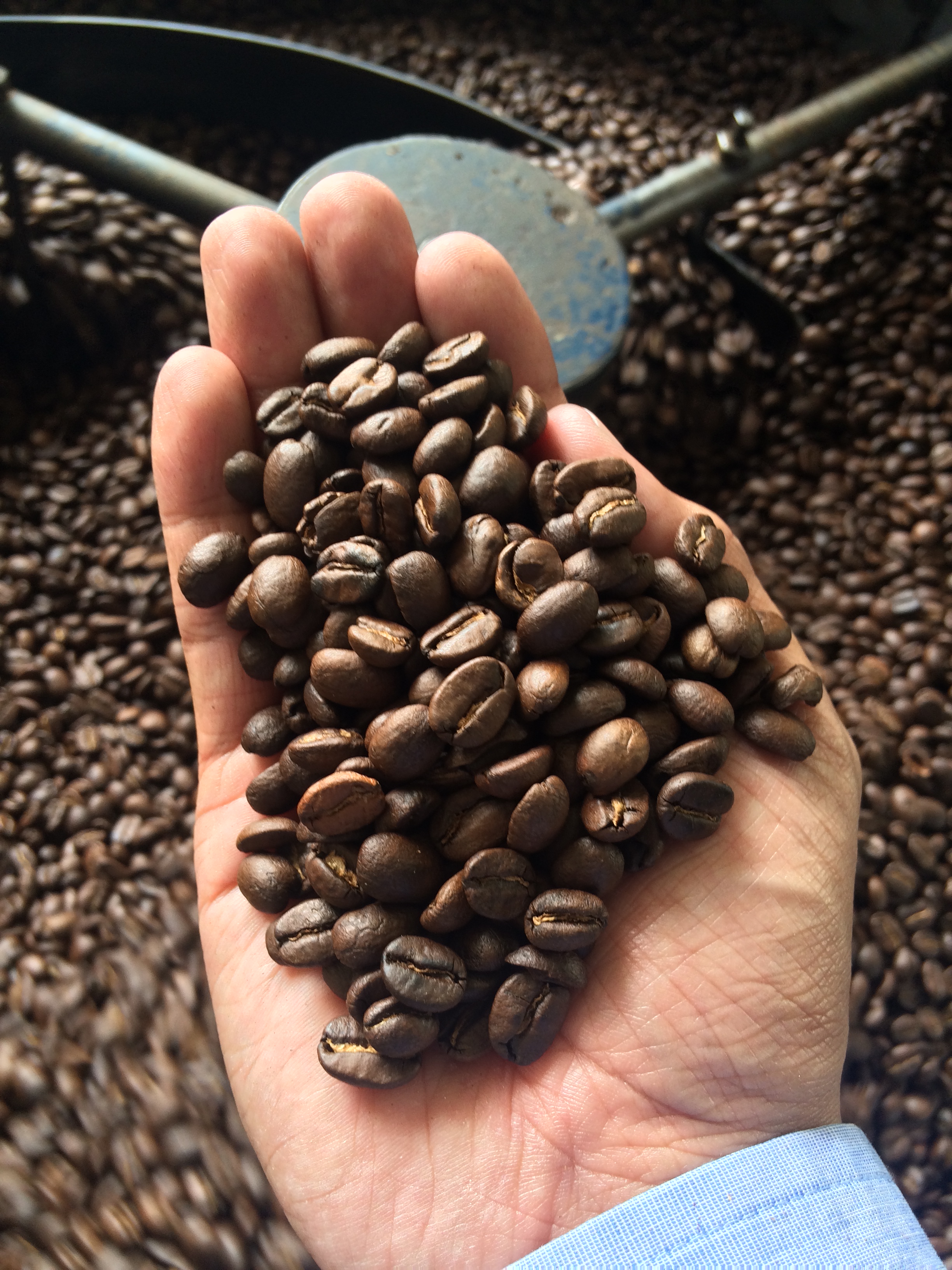 Guatemala coffee, Antigua, Medium Roast, Whole Bean, 16 oz.