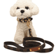 thumbnail image 5 of Collar de cuero para perro, suave, duradero, resistente al agua, ajustable, 5 of 6