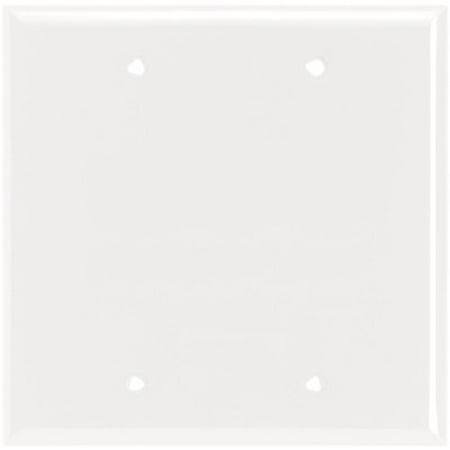 Gang Cooper Wall Plate - Cooper 5137W White Unbreakable Two Gang Blank Box Mount Wall Plate