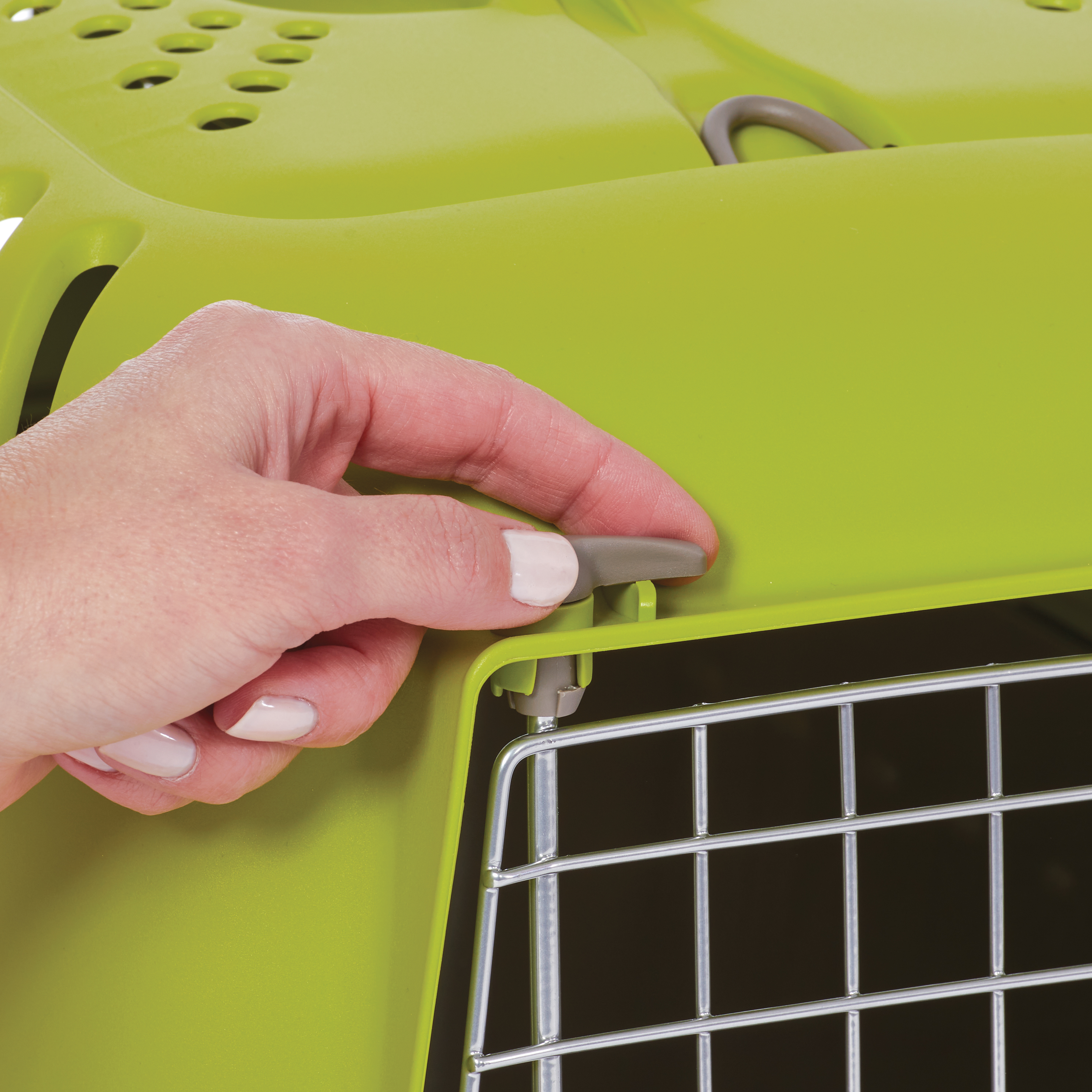 Midwest Spree Hard-Sided Pet Carrier, Green, 19 Inches photo 2
