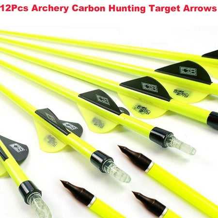 Cocobaby 12Pcs Archery Carbon Hunting Target Arrows 30 SP500 For Compound/Recurve Bow