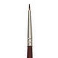 thumbnail image 1 of CEPILLO REAL ROYAL BRUSH  RYL950052, 1 of 1